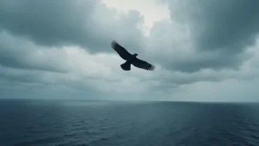 Black Bird Flying Over the Ocean in a Dream