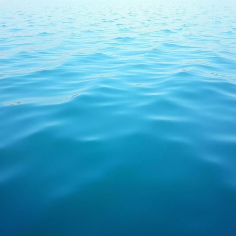 Calm Blue Ocean