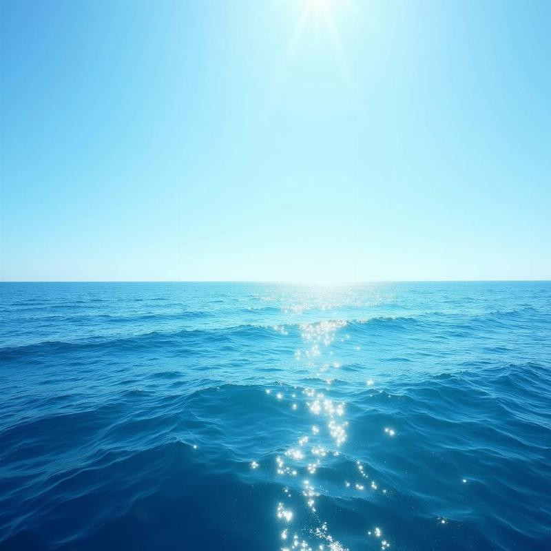 Calm Ocean Surface