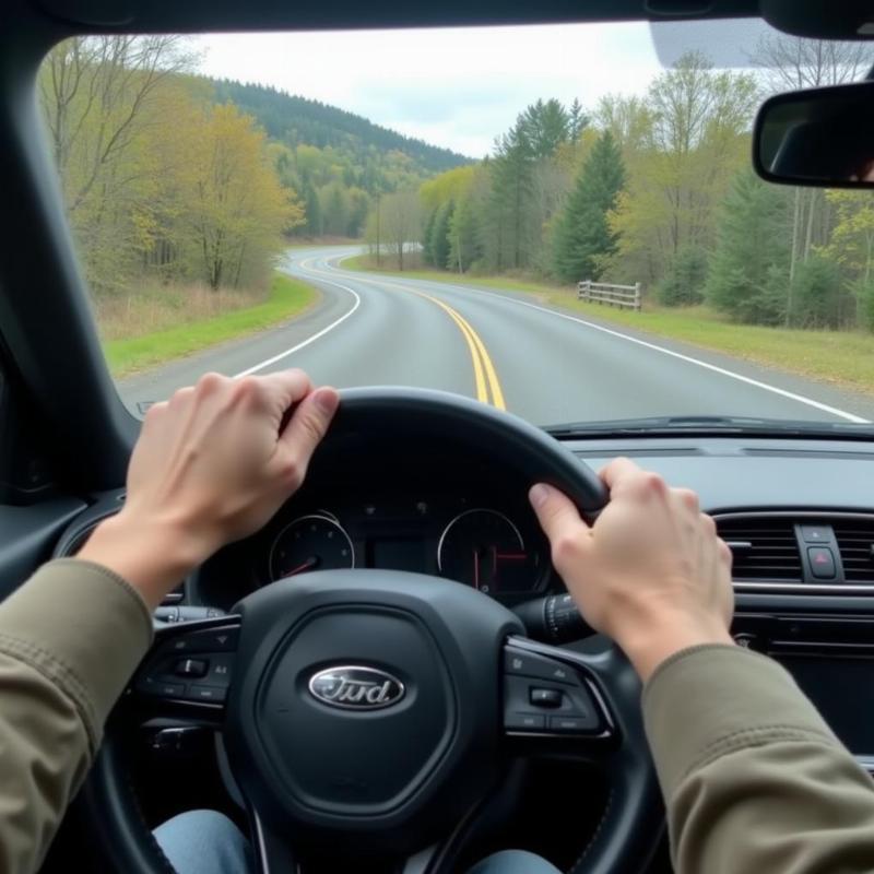 Driving a Car on Winding Road